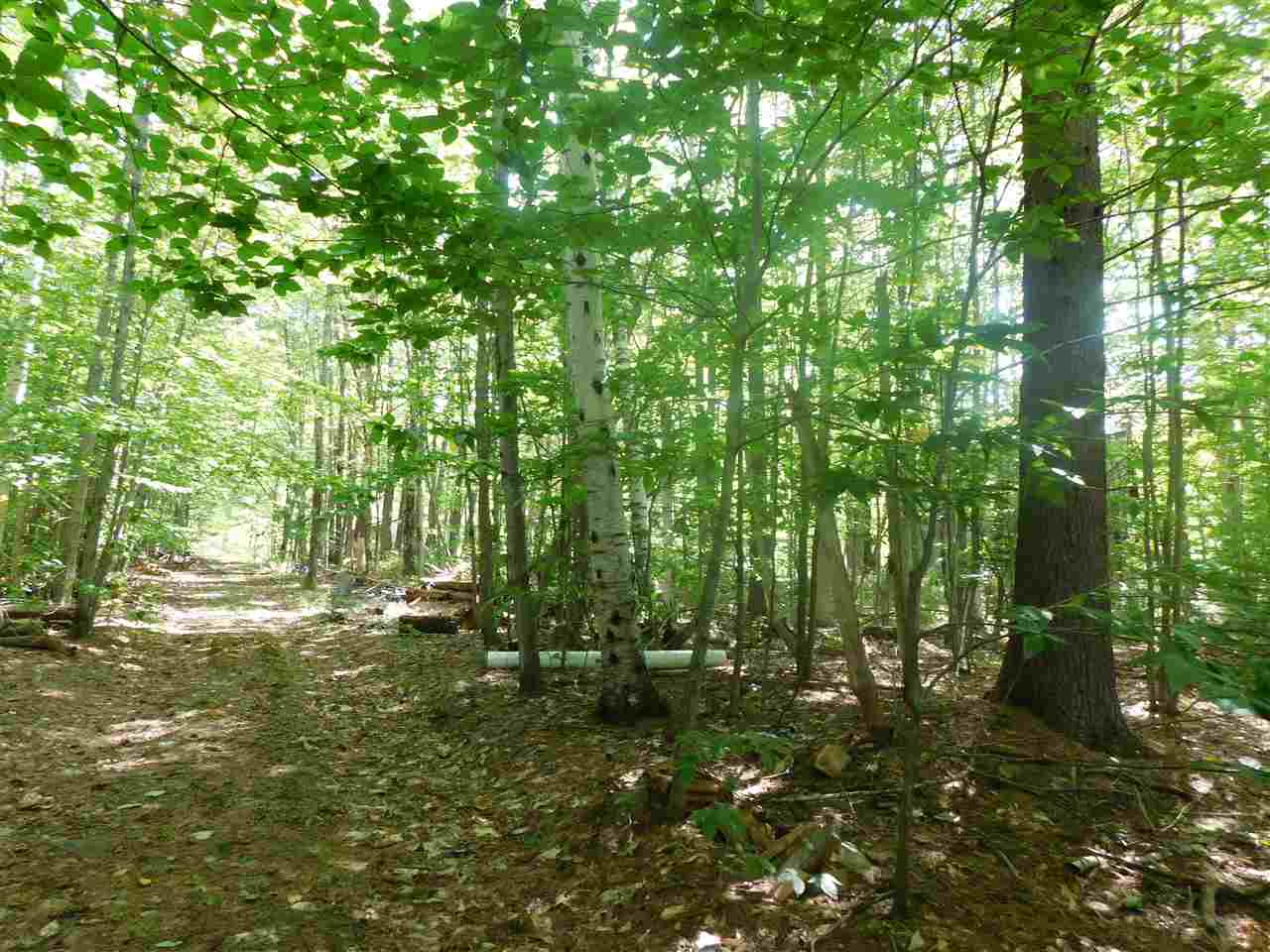 21 Effingham Road Ossipee, NH 03864 - Photo 15 of 34 Gallery Image 15