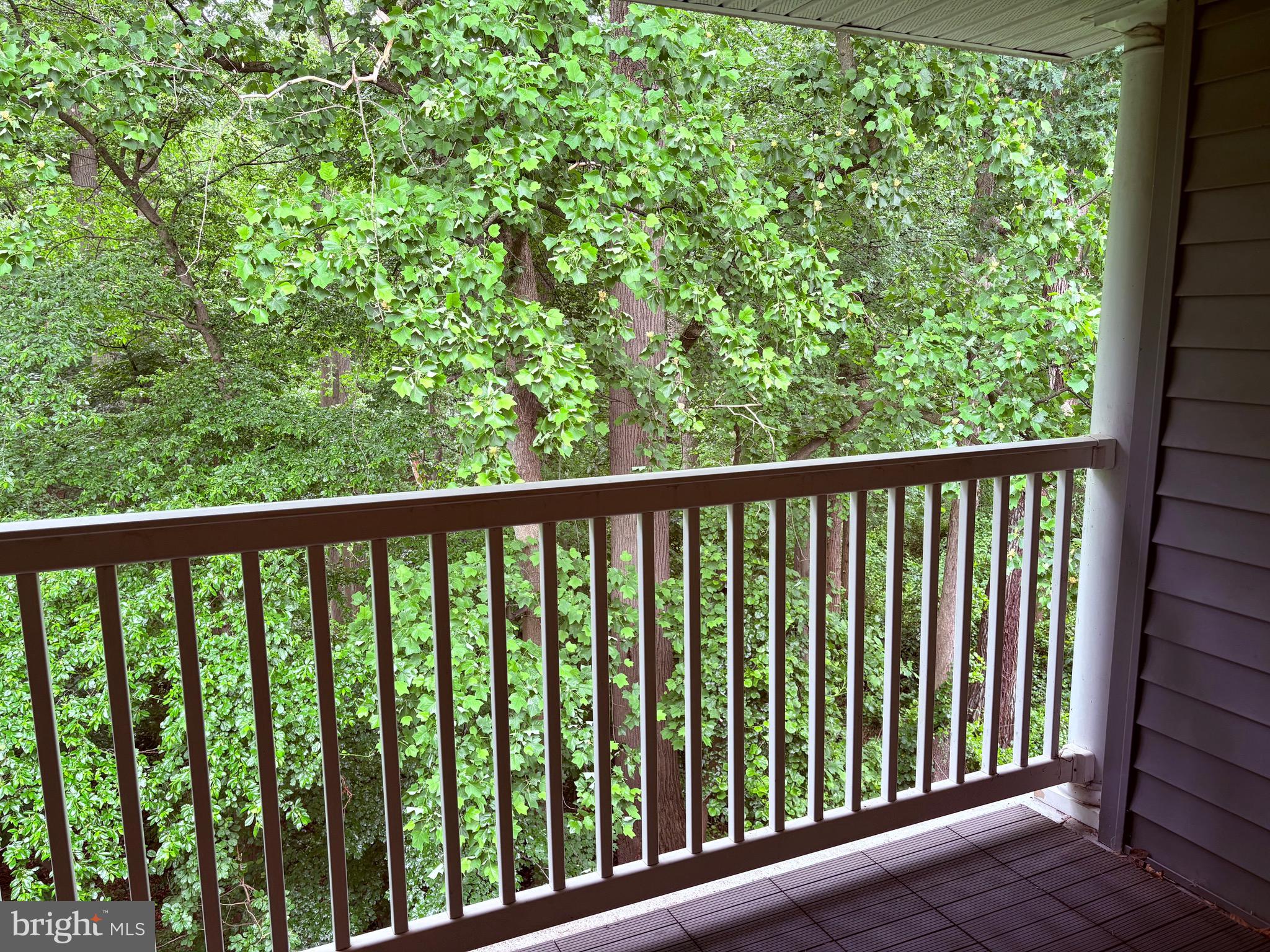 135 Natalie Road Delran, NJ 08075 - Photo 7 of 24 Balcony view of woods