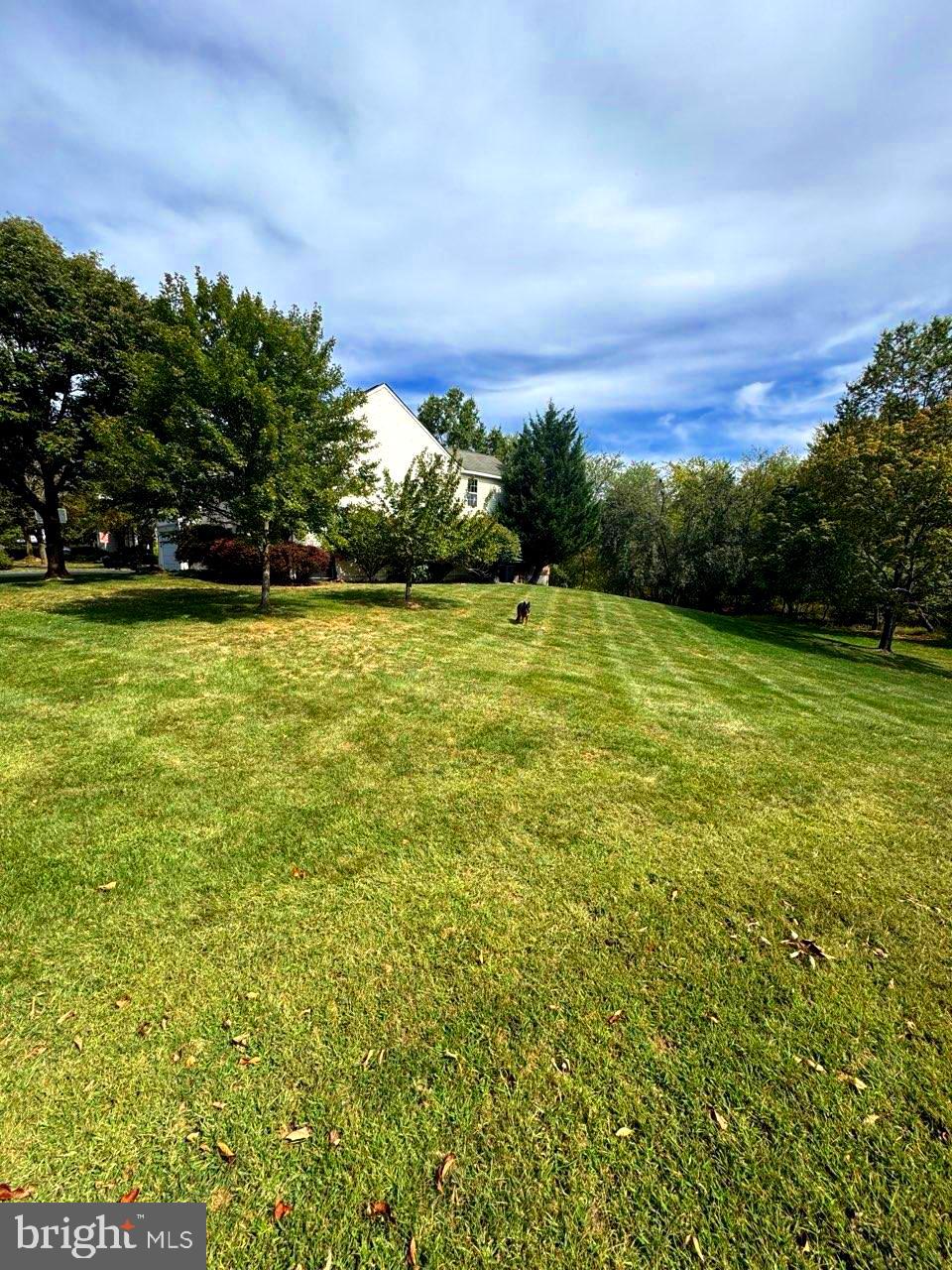 27 Donovan Road Pennington, NJ 08534 - Photo 61 of 65 Side/Rear Yard View