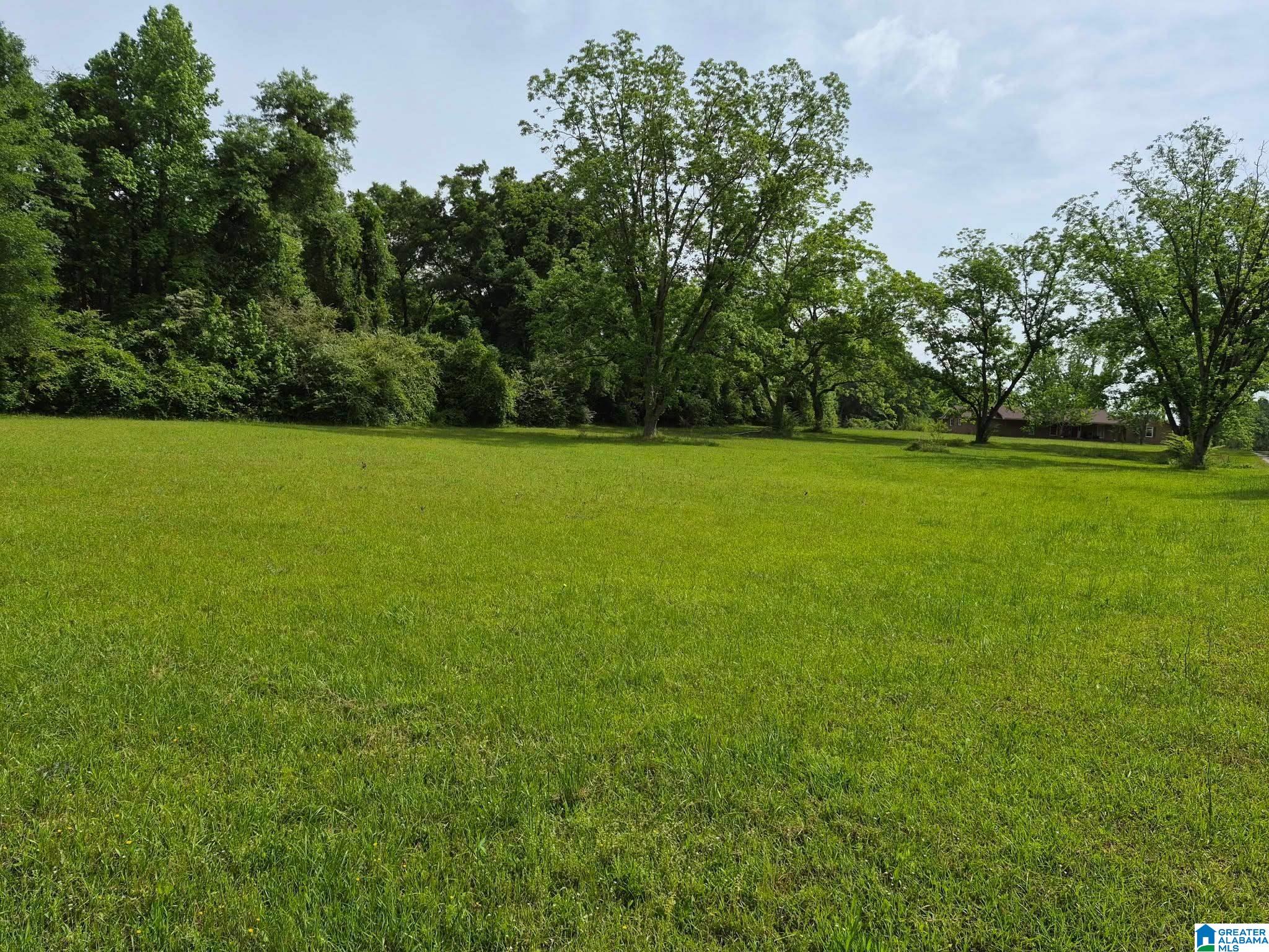 484 Blanding Road Hatchechubbee, AL 36858 - Photo 15 of 17