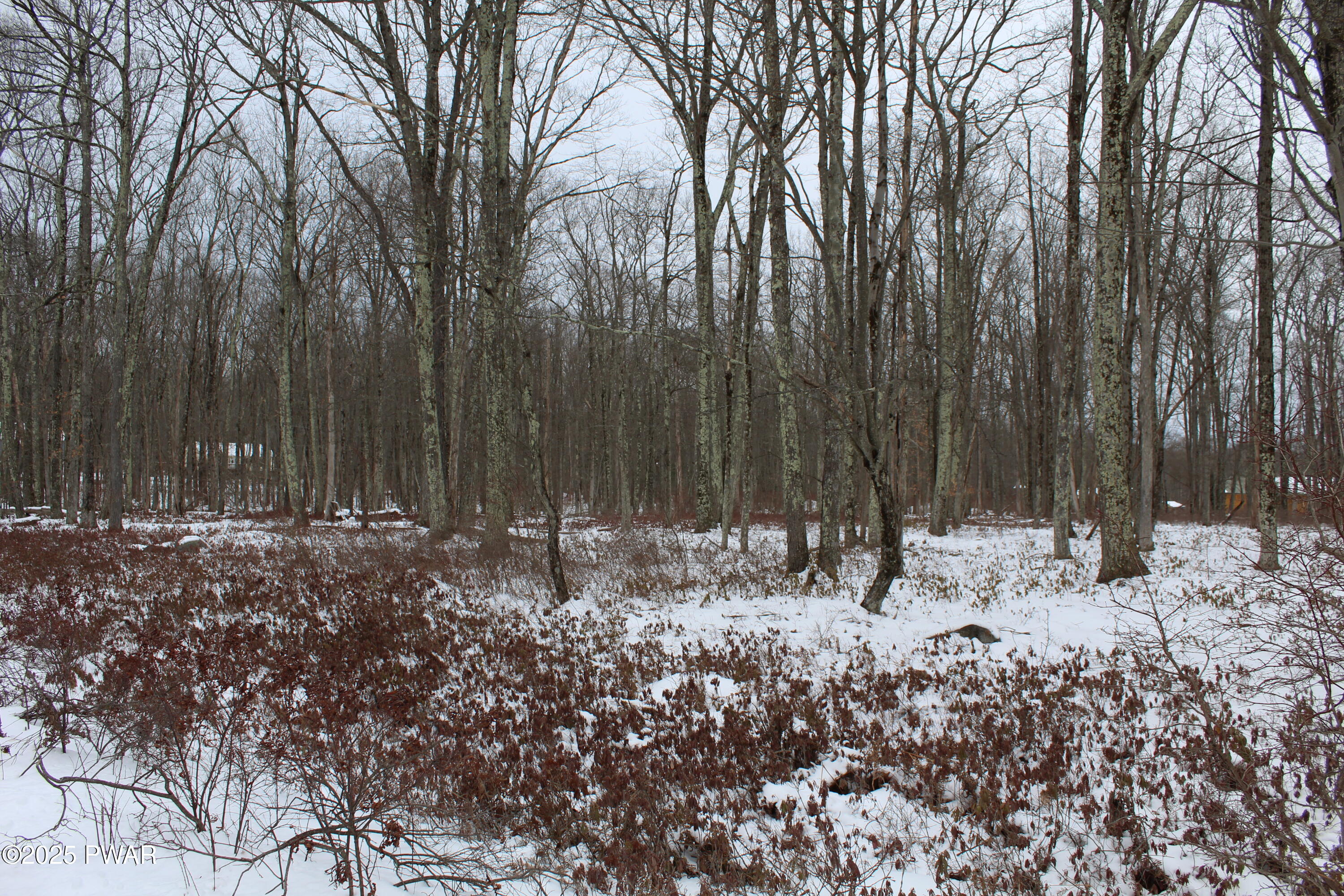 Lot 133 Ironwood & Ruff Road Canadensis, PA 18325 - Photo 3 of 17 View from Ruff Road 3