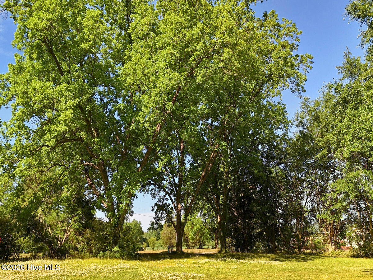 0 Old Chinquapin Road Beulaville, NC 28518 - Photo 22 of 31 22.