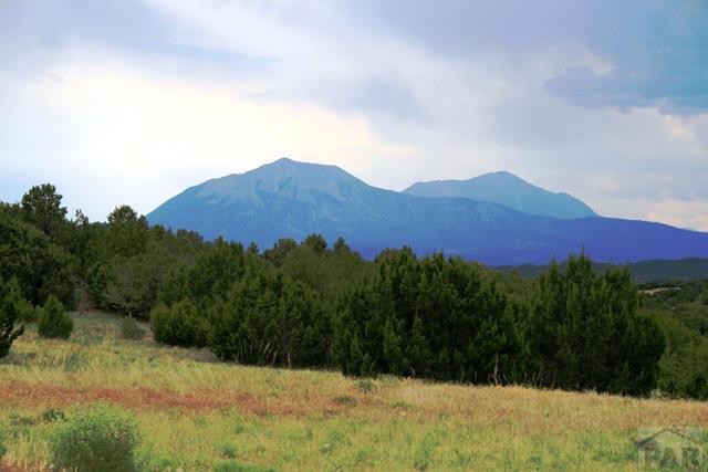 82 Silver Spur Road Walsenburg, CO 81089 - Photo 1 of 1 Gallery Image 1
