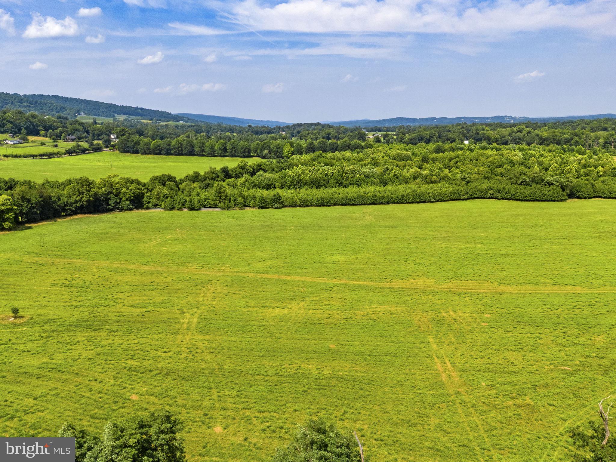 0 Austin Grove Road Bluemont, VA 20135 - Photo 1 of 43 Gallery Image 1