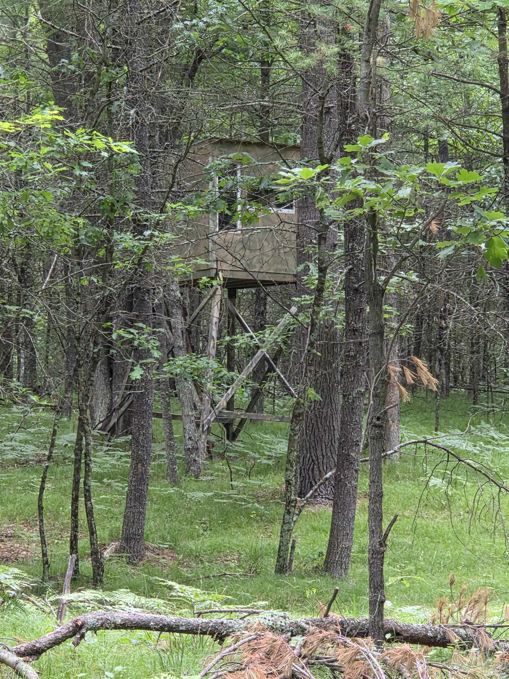 N13300 Pike River Road Wausaukee, WI 54177 - Photo 22 of 39