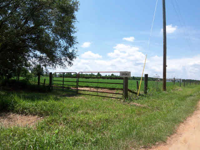25281 County Road 71 Robertsdale, AL 36567 - Photo 1 of 1