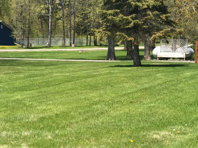 $85,000 | Xxx Battle Point Trail Northwest, Federal Dam, MN 56641