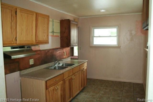 621 Riddle Street Howell, MI 48843 - Photo 8 of 13 Kitchen