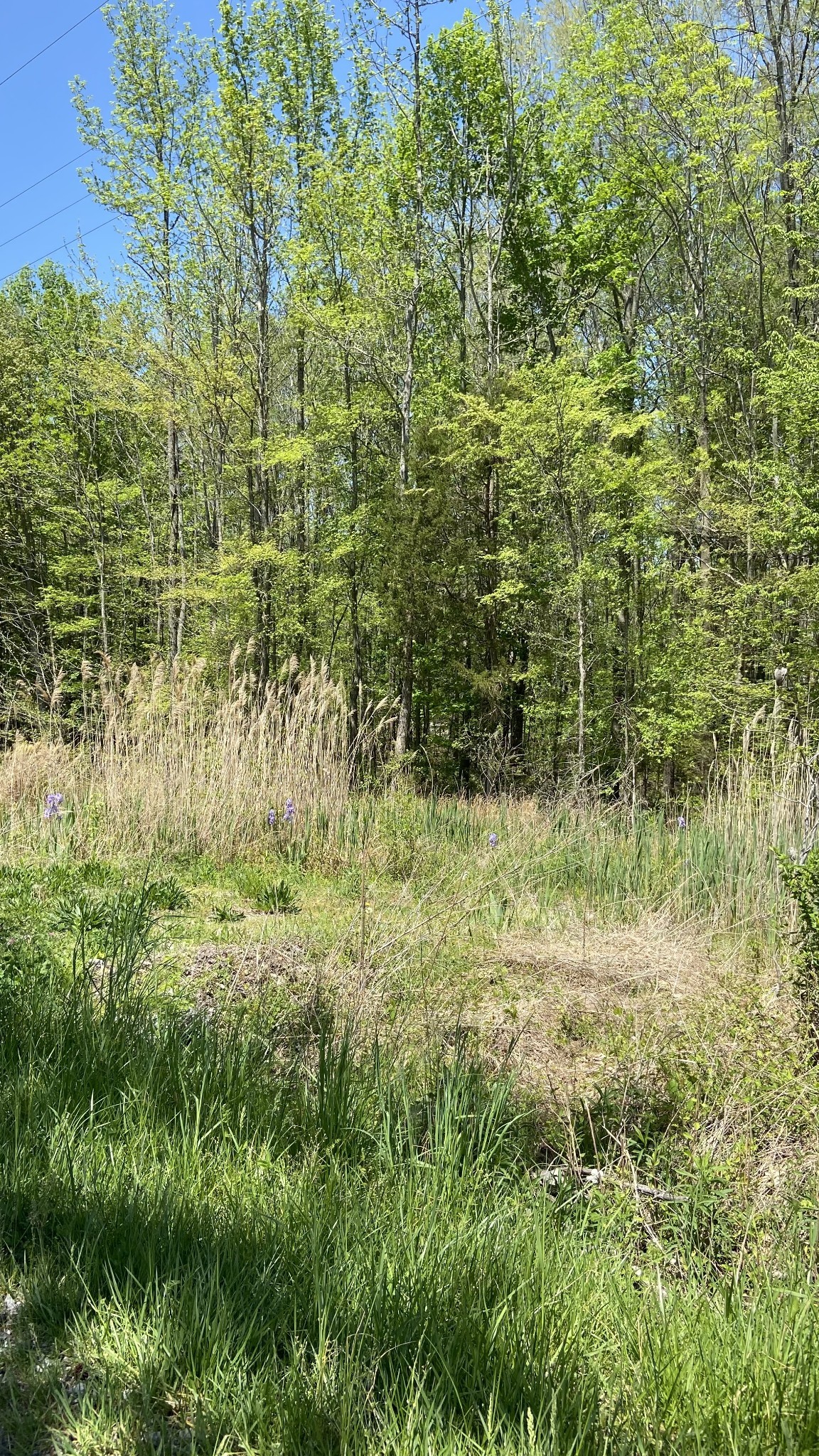 8556 Cedar Grove Road Cross Plains, TN 37049 - Photo 1 of 5