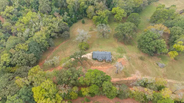 a view of a yard with large trees
