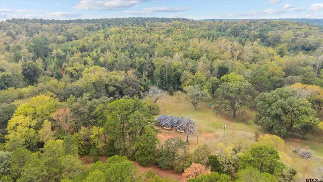 a view of a backyard with trees