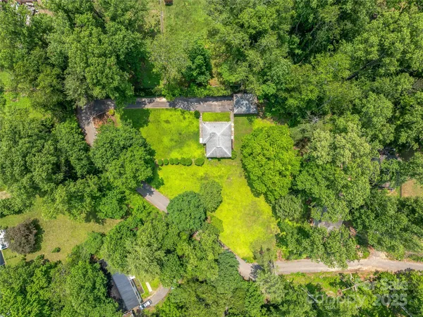 a lush green field with lots of bushes