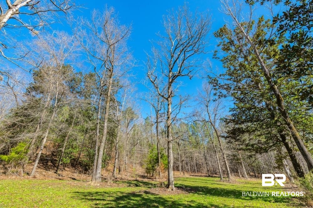 0 Private Road Millry, AL 36558 - Photo 41 of 50