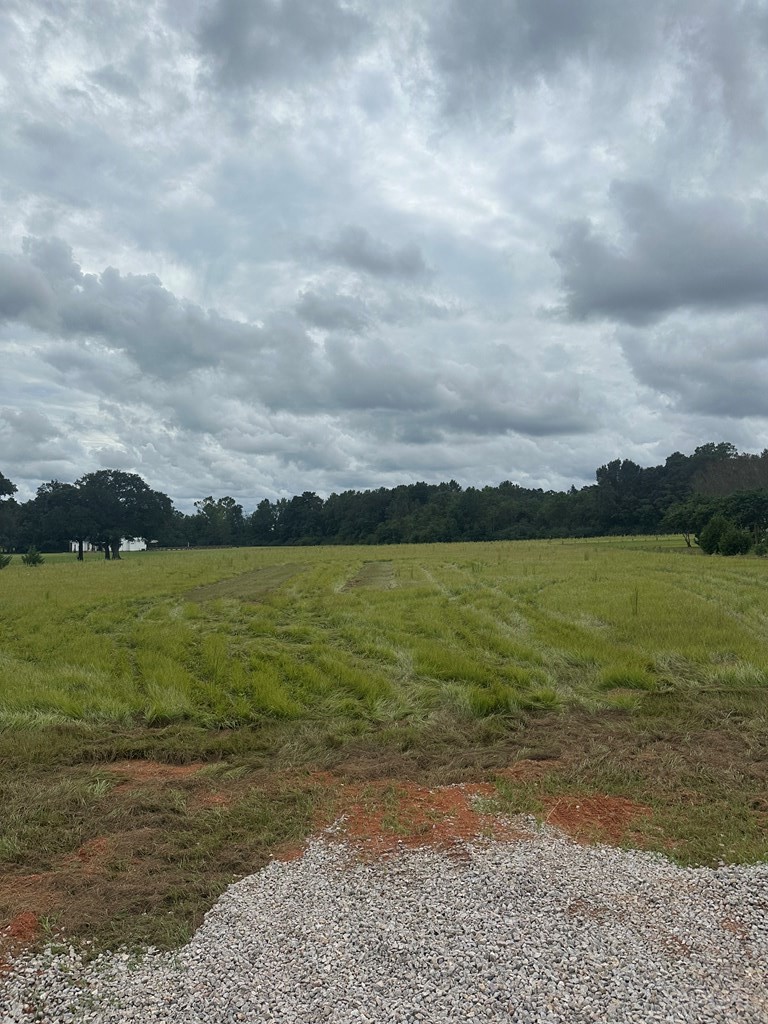 Lot 1 Hadden Road Dothan, AL 36301 - Photo 3 of 8