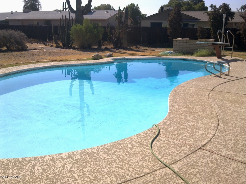 3813 West Hatcher Road Phoenix, AZ 85051 - Photo 4 of 20 Sparkling Diving Pool