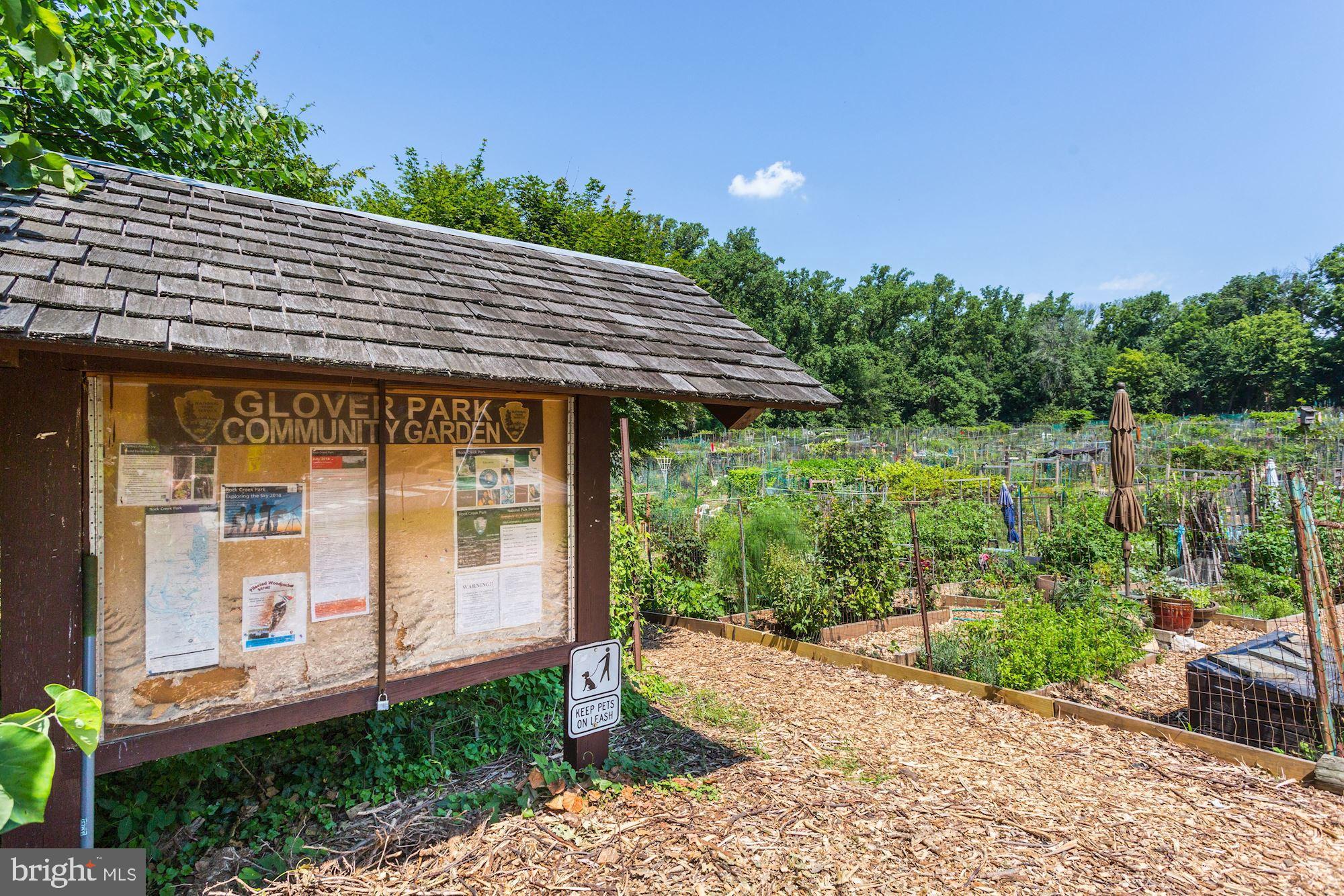 2325 42nd Street Northwest, Unit 204 Washington, DC 20007 - Photo 29 of 41