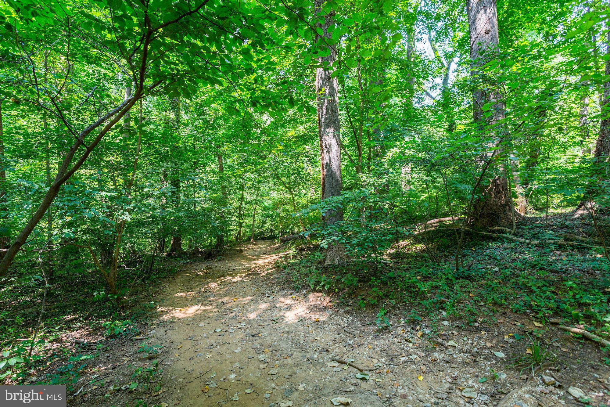 2325 42nd Street Northwest, Unit 204 Washington, DC 20007 - Photo 32 of 41