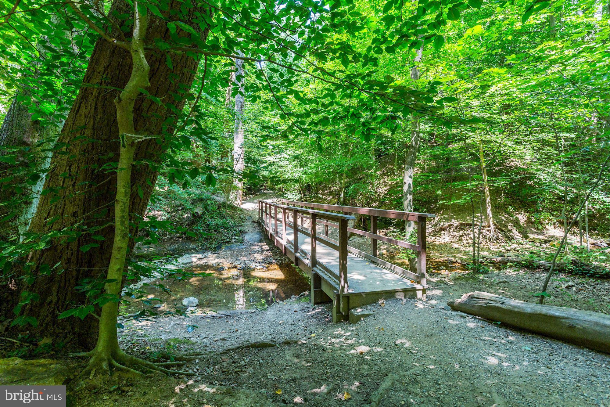 2325 42nd Street Northwest, Unit 204 Washington, DC 20007 - Photo 33 of 41
