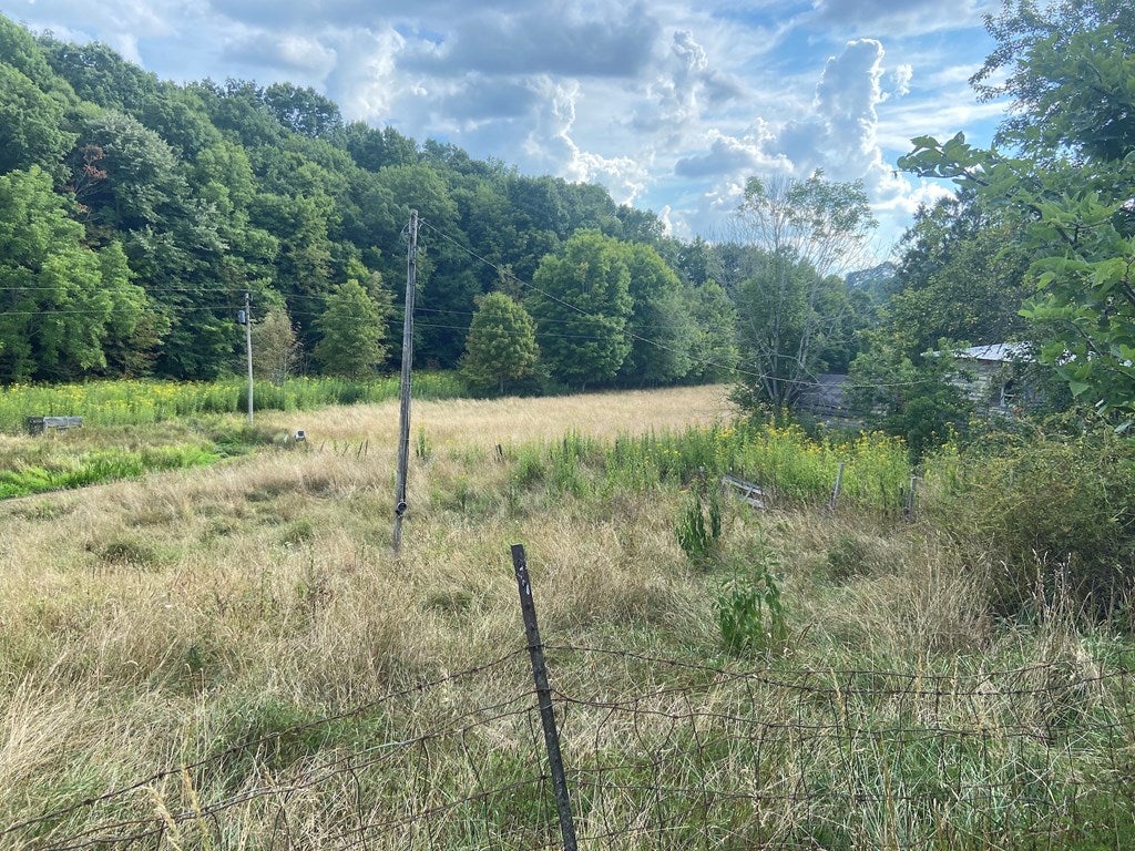 3340 Foglesong Valley Road, Unit 49 Ceres, VA 24318 - Photo 6 of 12 Gallery Image 6