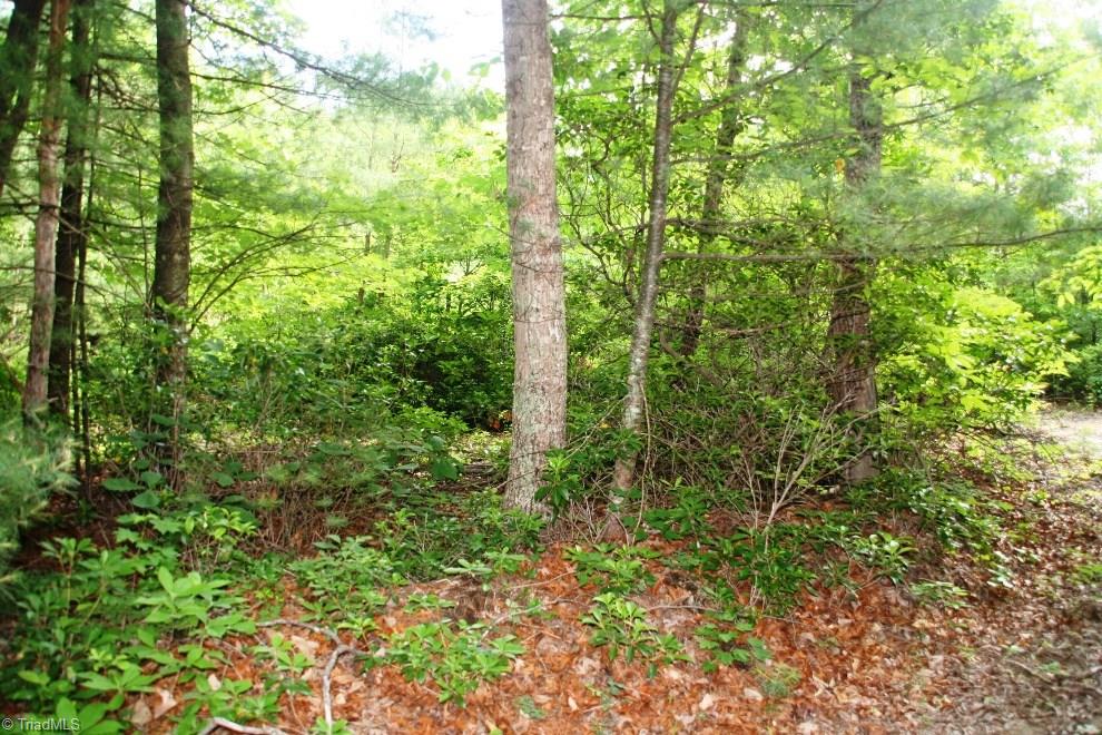 1091 Sampson Road Lenoir, NC 28645 - Photo 2 of 4 Gallery Image 2