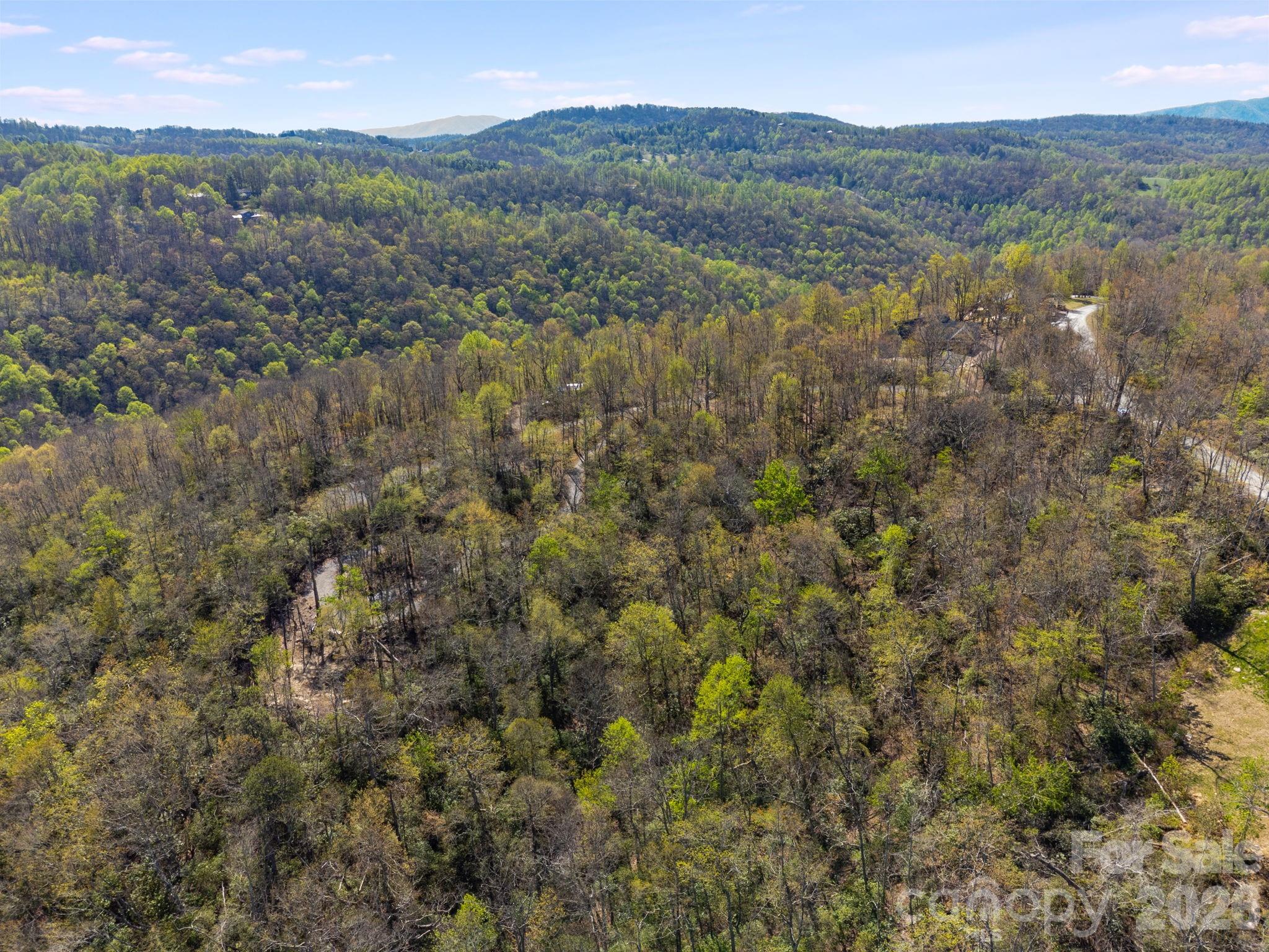 Lot 27 Trails End Road, Unit 27 Spruce Pine, NC 28777 - Photo 26 of 42