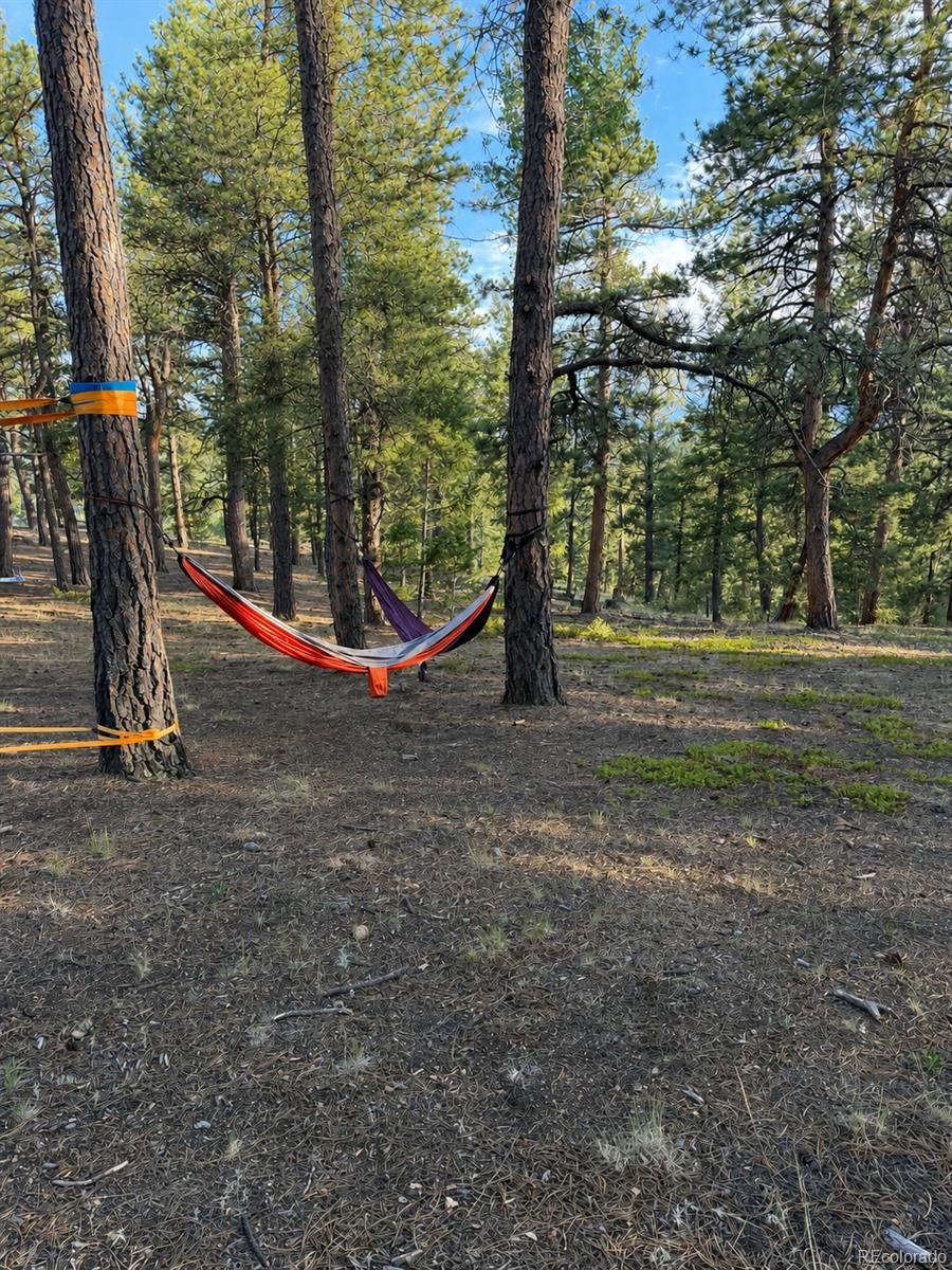 237 Rd B Pine, CO 80470 - Photo 45 of 48