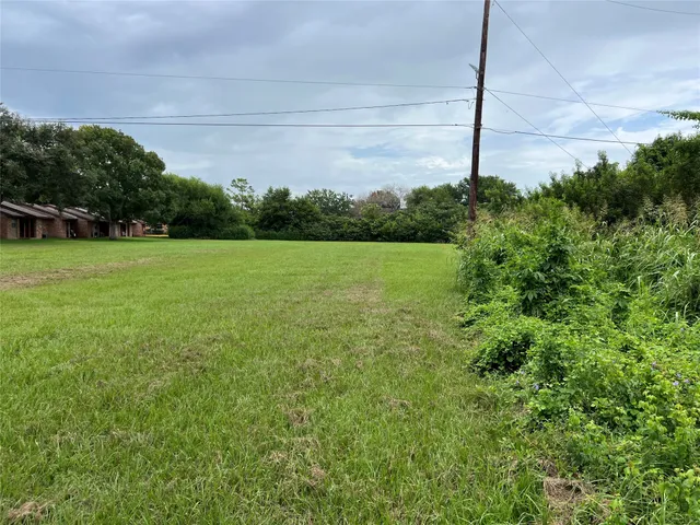 a view of field with tall trees