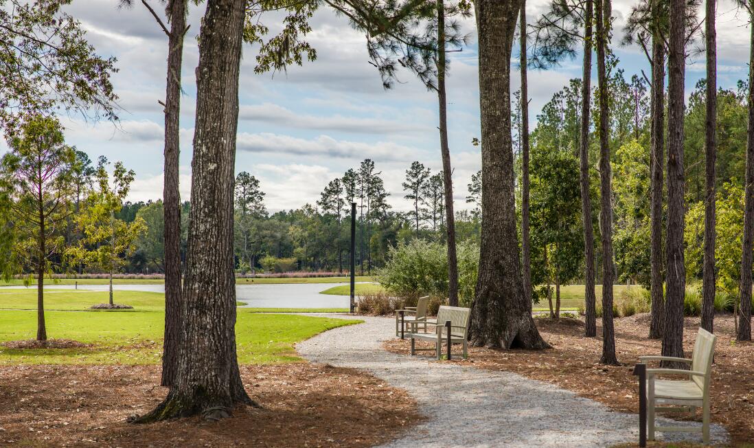 1010 Yucca Street Summerville, SC 29485 - Photo 14 of 18 SC Trails