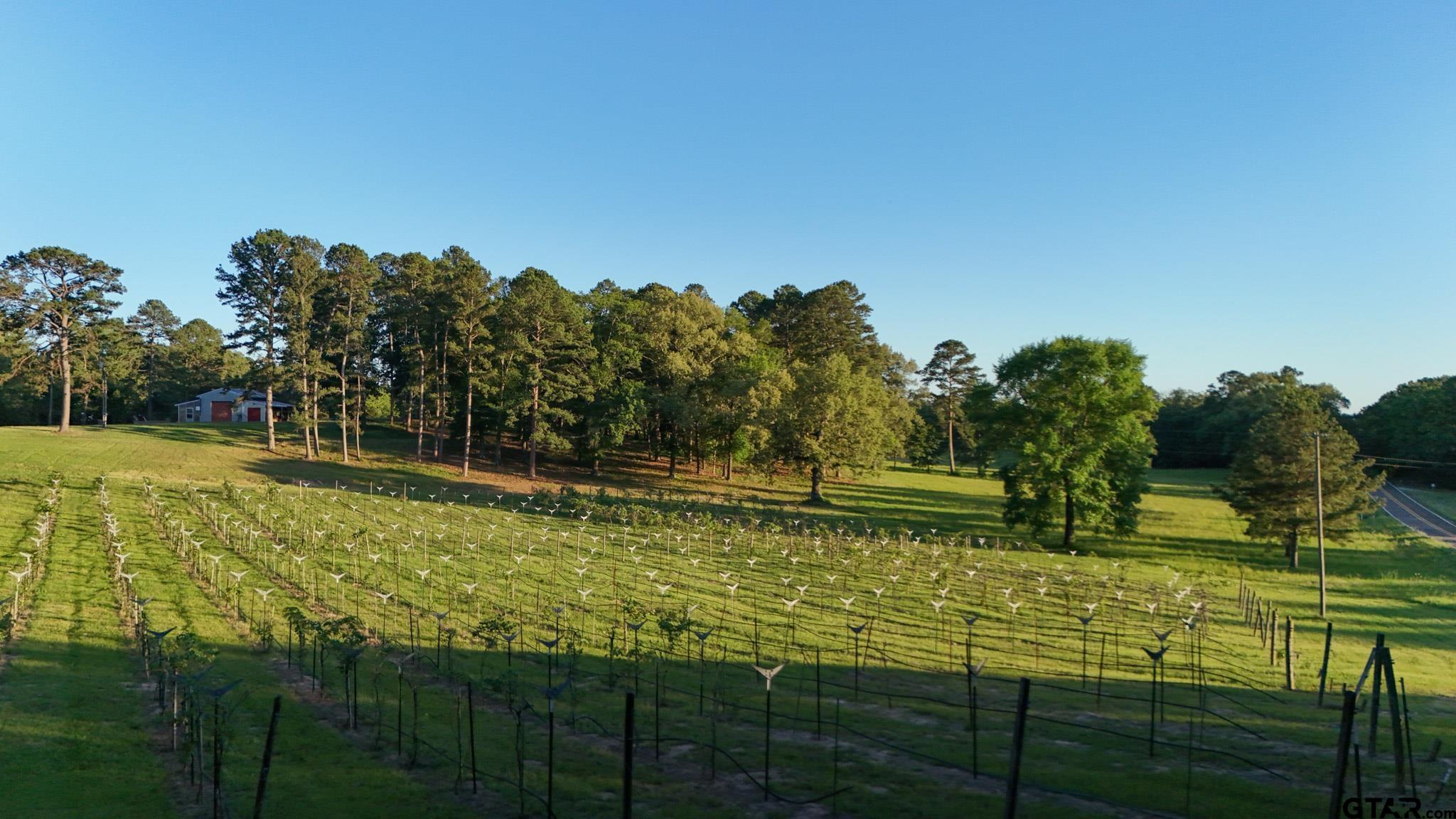 0 County Road 2680 Hawkins, TX 75765 - Photo 23 of 38