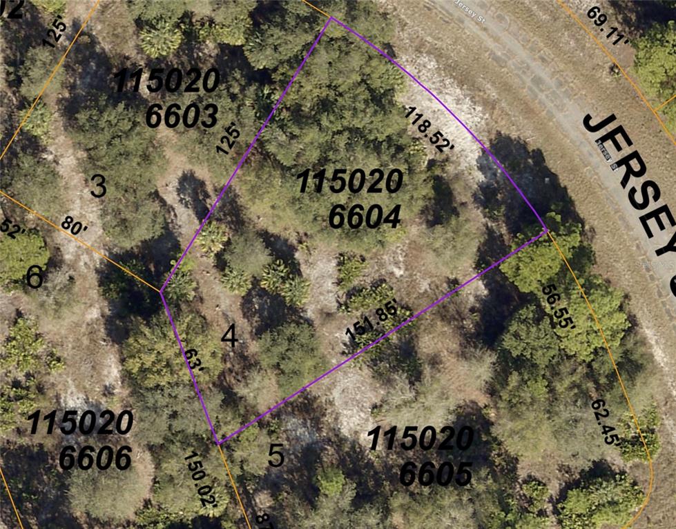 Jersey St Port North Port, FL 34288 - Photo 7 of 14