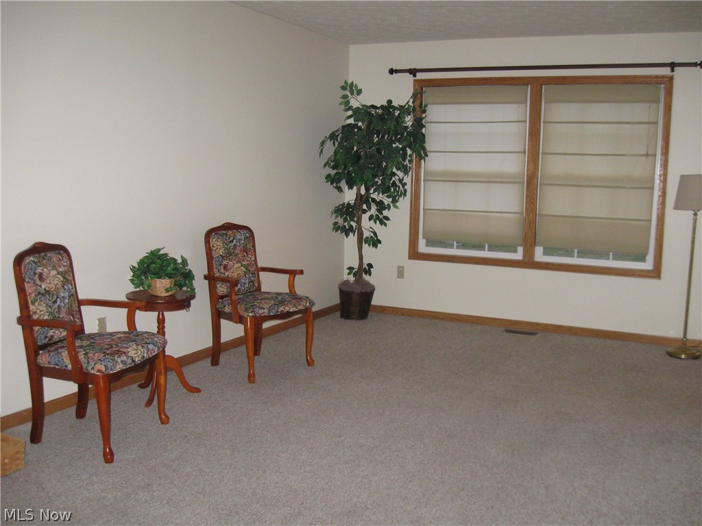 52 Beech Street Rittman, OH 44270 - Photo 4 of 35 Large living room for that big screen TV!