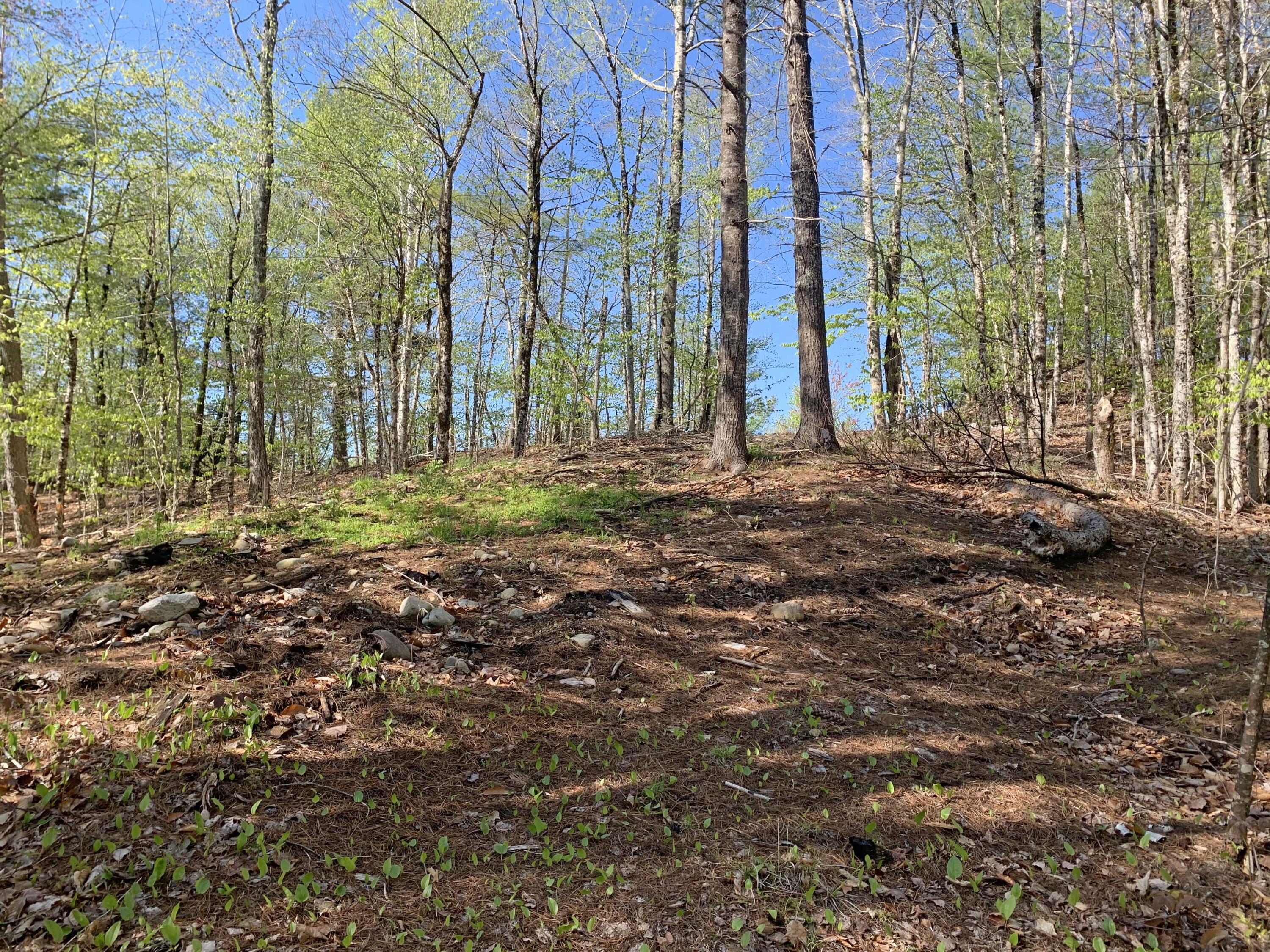 260 Springy Pond Road Clifton, ME 04428 - Photo 7 of 13 2c