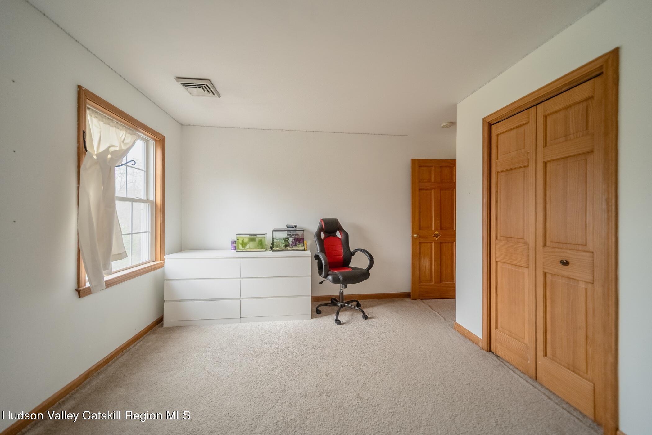 226 Blue Mountain Road Saugerties, NY 12477 - Photo 28 of 45 Image-36