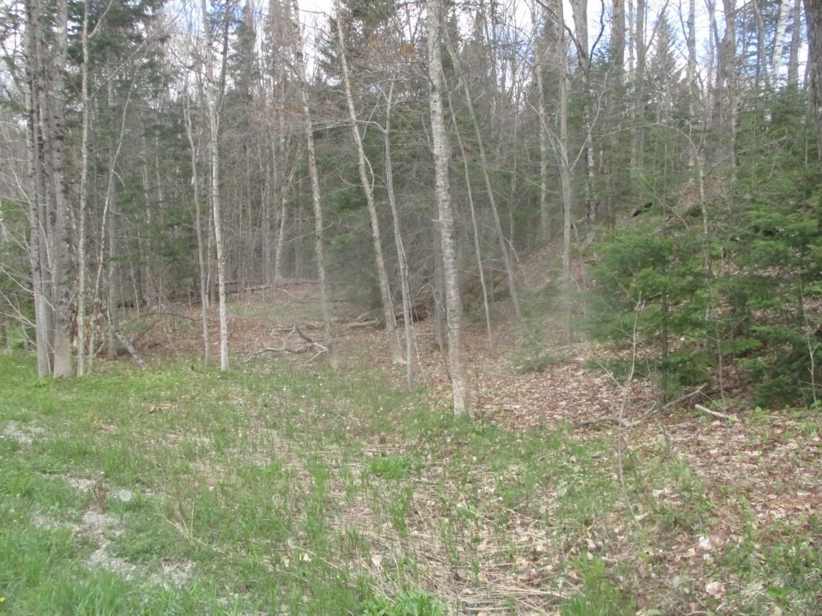 0 Warren Road Eden, VT 05652 - Photo 11 of 16