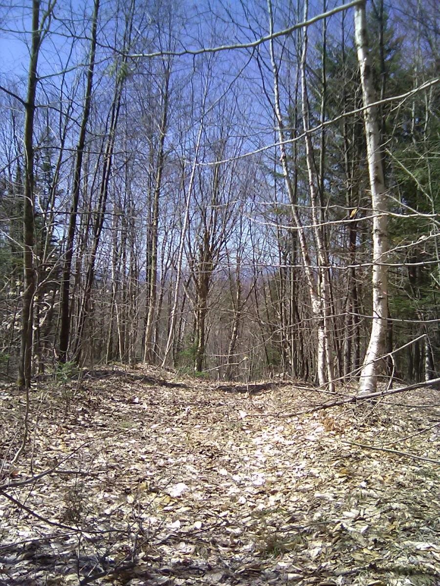 0 Warren Road Eden, VT 05652 - Photo 15 of 16