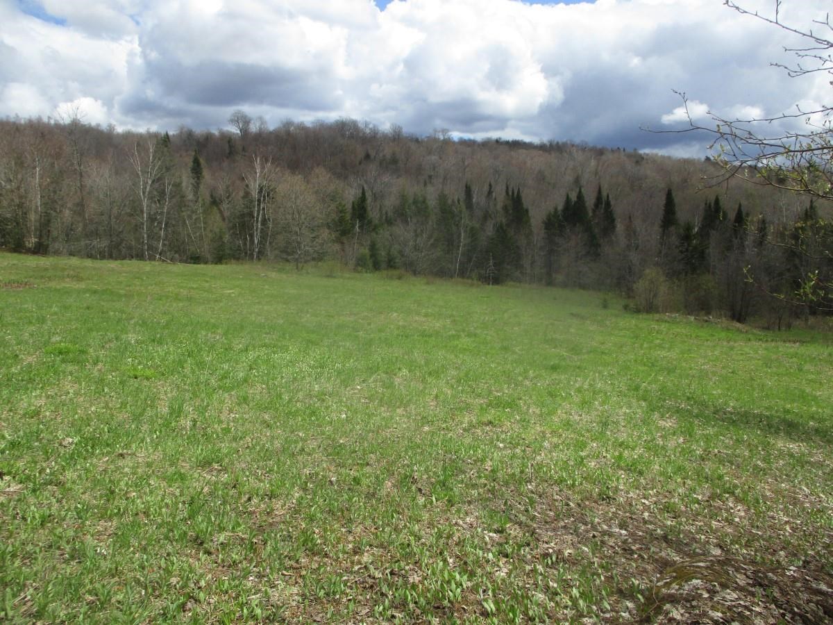 0 Warren Road Eden, VT 05652 - Photo 2 of 16