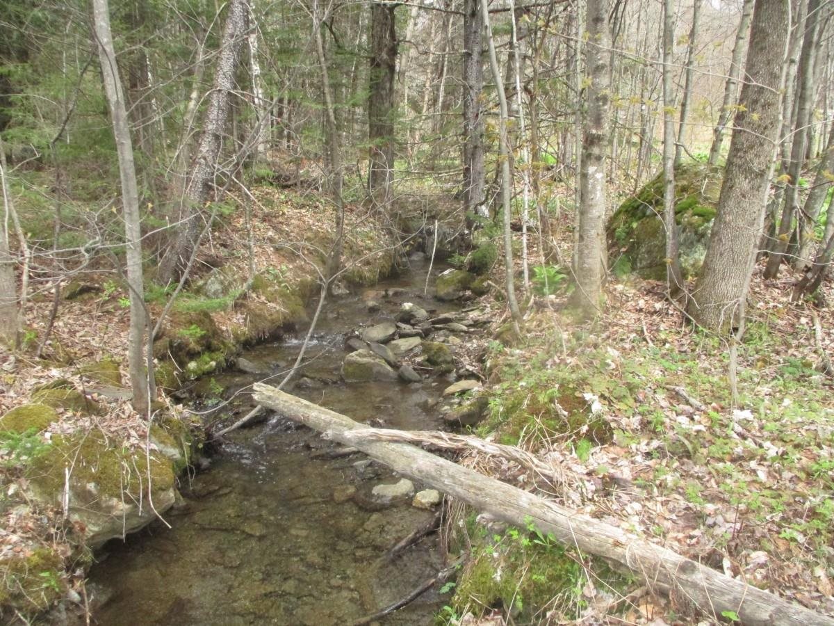 0 Warren Road Eden, VT 05652 - Photo 4 of 16