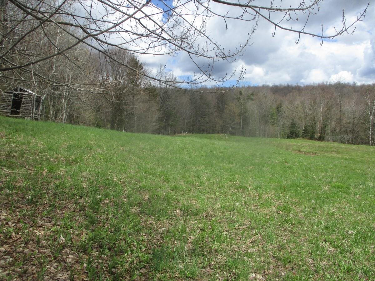 0 Warren Road Eden, VT 05652 - Photo 5 of 16