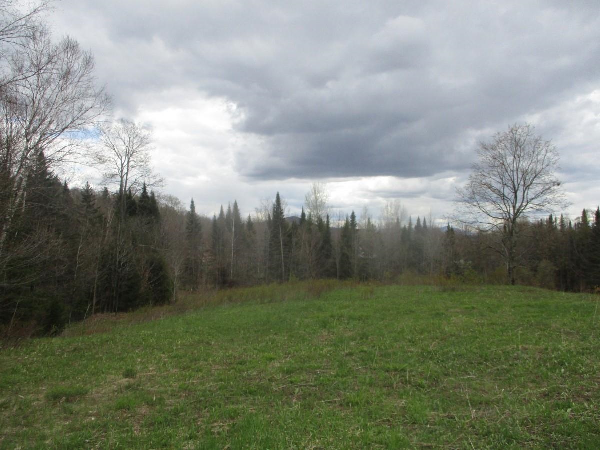 0 Warren Road Eden, VT 05652 - Photo 6 of 16