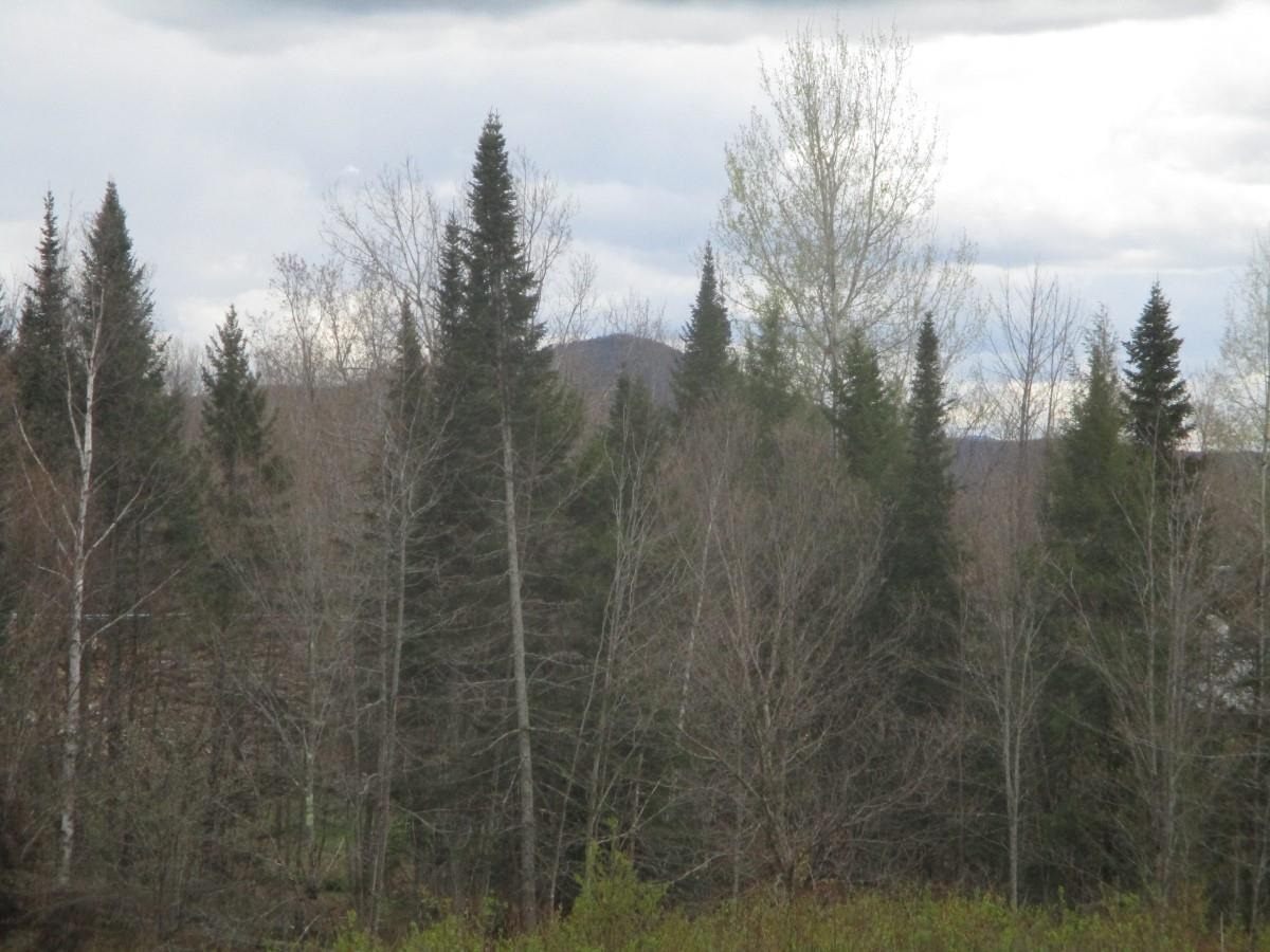 0 Warren Road Eden, VT 05652 - Photo 9 of 16