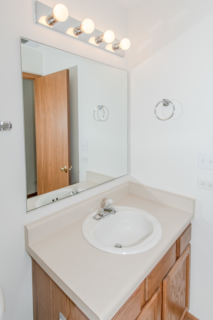 329 Sheffield Court, Unit 2 Roselle, IL 60172 - Photo 25 of 28 a bathroom with a sink and a mirror
