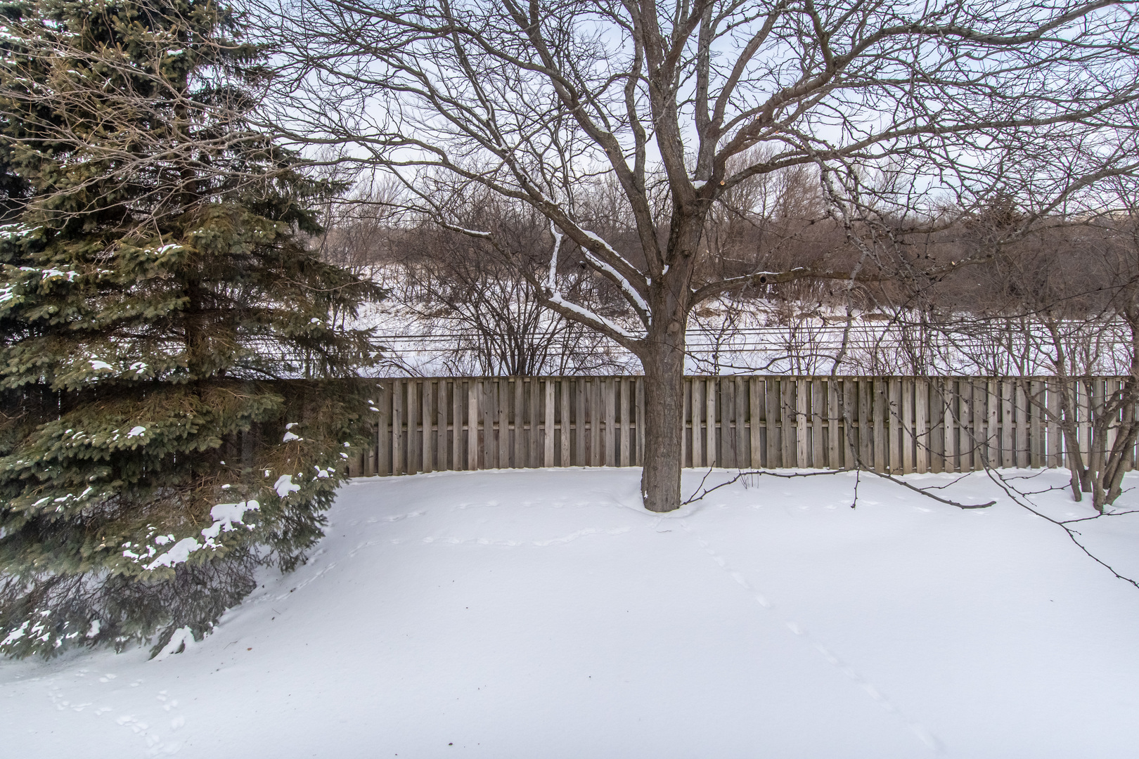 329 Sheffield Court, Unit 2 Roselle, IL 60172 - Photo 28 of 28 a view of backyard with wooden fence and trees