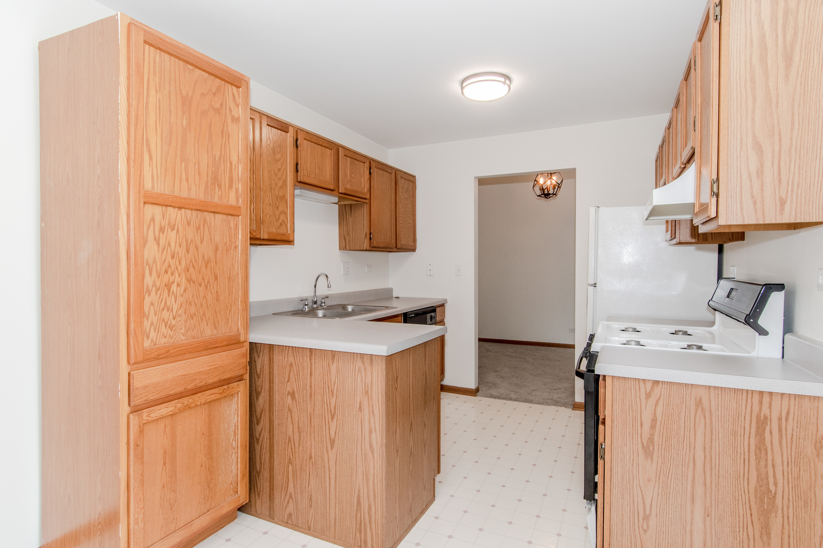 329 Sheffield Court, Unit 2 Roselle, IL 60172 - Photo 6 of 28 a kitchen with a sink stove and refrigerator