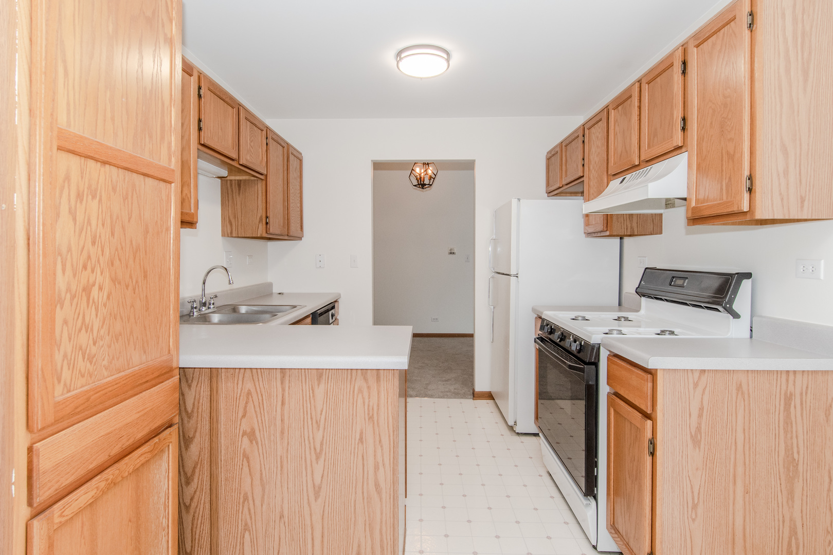 329 Sheffield Court, Unit 2 Roselle, IL 60172 - Photo 7 of 28 a kitchen with a sink stove and refrigerator