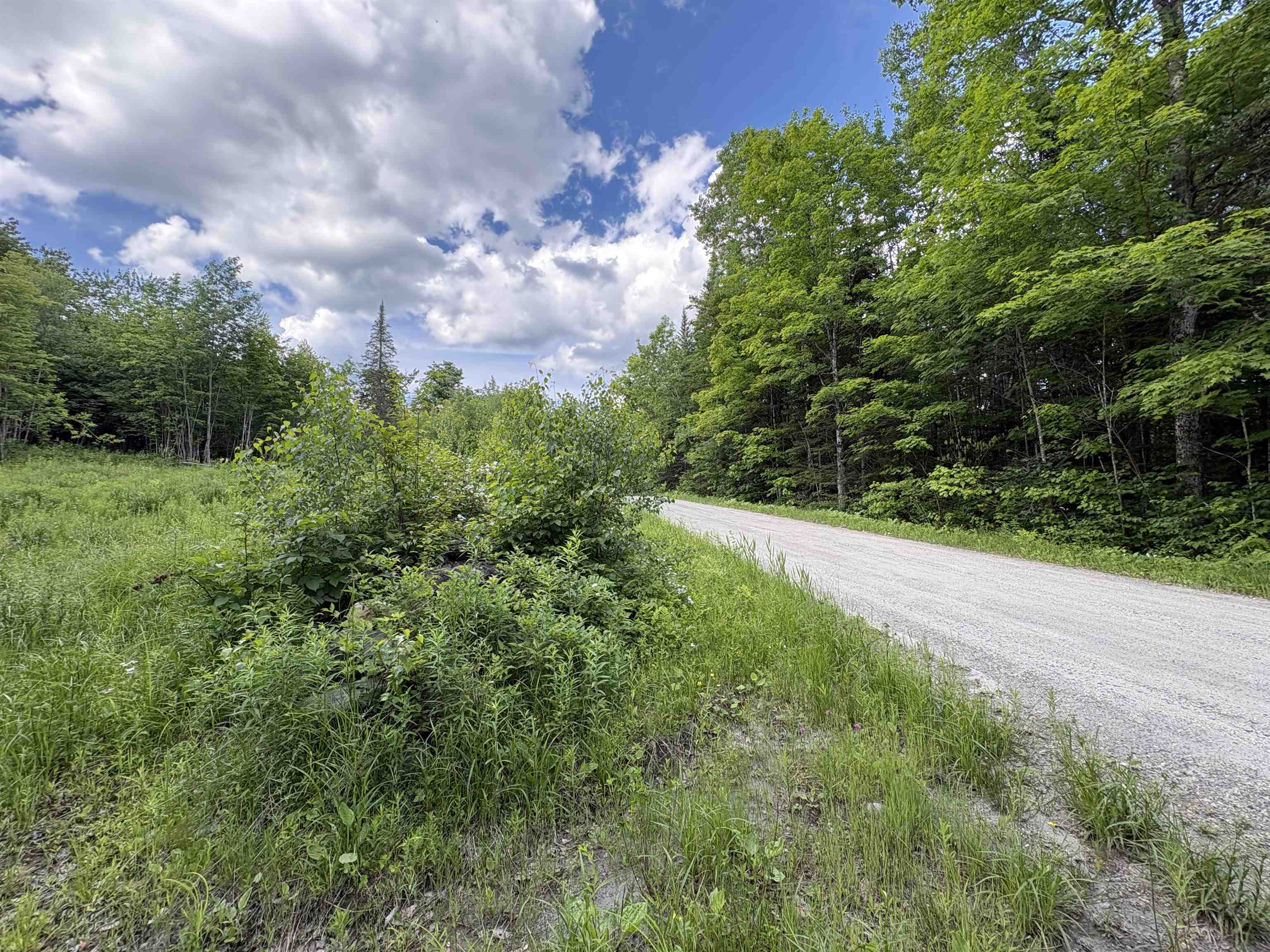 208 Drake Pl Road Sheffield, VT 05866 - Photo 3 of 43