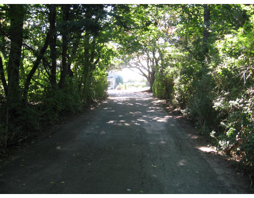 187 Atlantic Road Gloucester, MA 01930 - Photo 6 of 21 a view of a yard with plants and large trees
