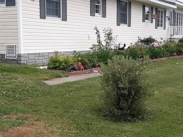 270 Houlton Road Presque Isle, ME 04769 - Photo 27 of 33 84034866_3083012701749842_63047375678875