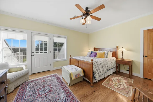 a view of a water with large trees