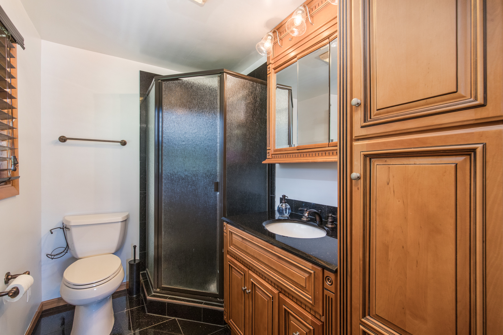 213 Forest View Drive Lake Bluff, IL 60044 - Photo 16 of 37 a bathroom with a sink toilet and shower