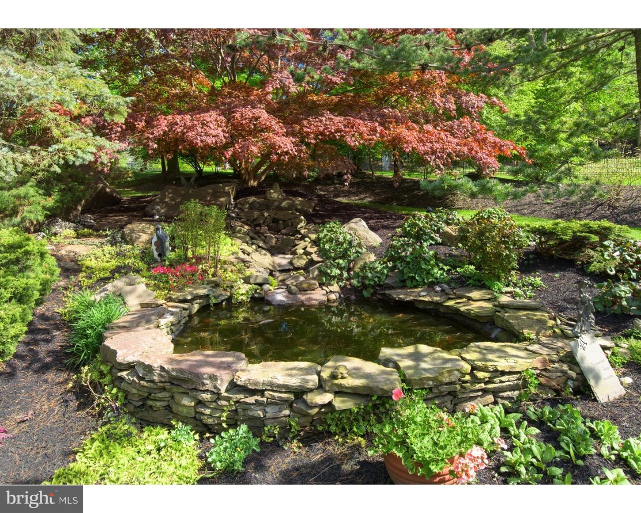 924 Roscommon Road Bryn Mawr, PA 19010 - Photo 6 of 19 Koi pond